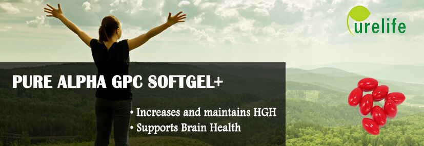 pure alpha GPC softgel