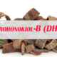 What is DHH-B
