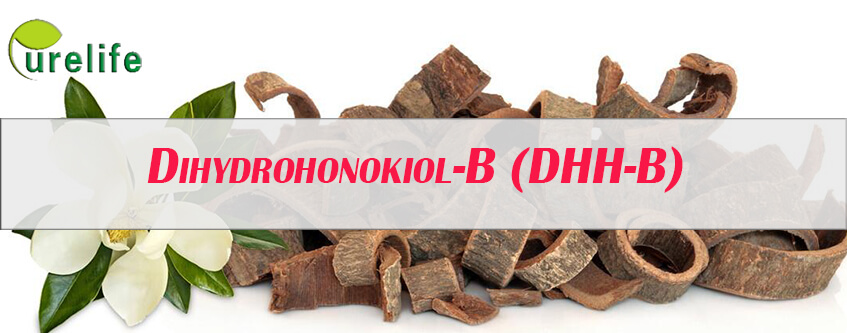What is DHH-B